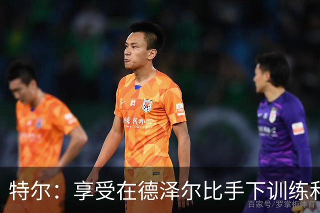 特尔：享受在德泽尔比手下训练和比赛，球迷追捧证明热刺是豪门