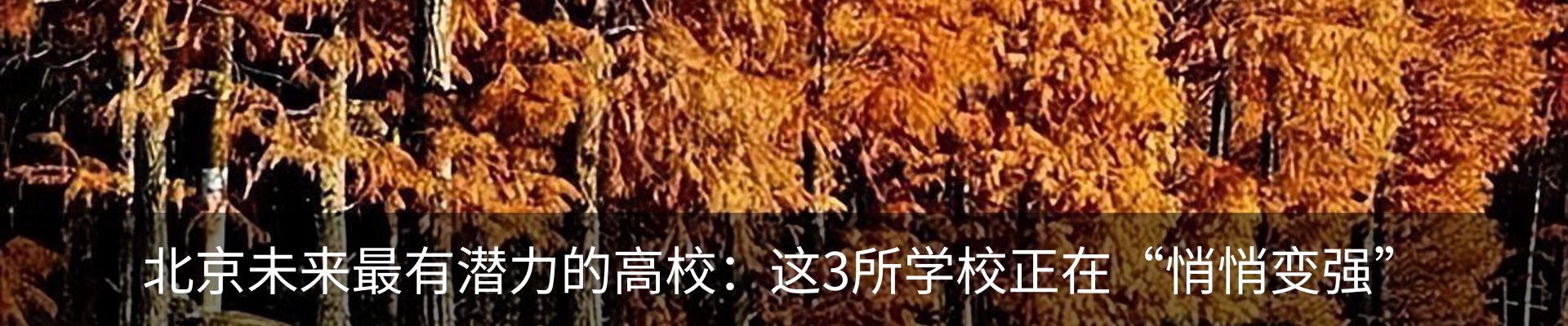 行业资讯