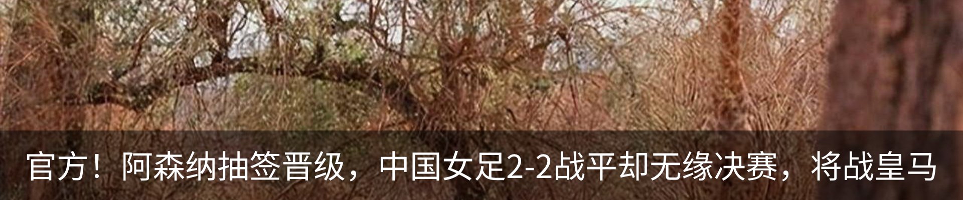 行业资讯