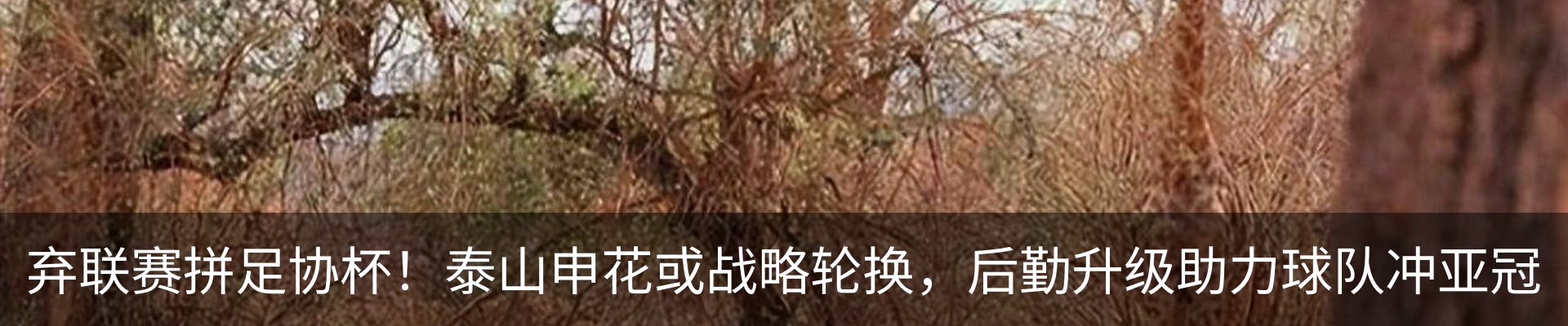行业资讯