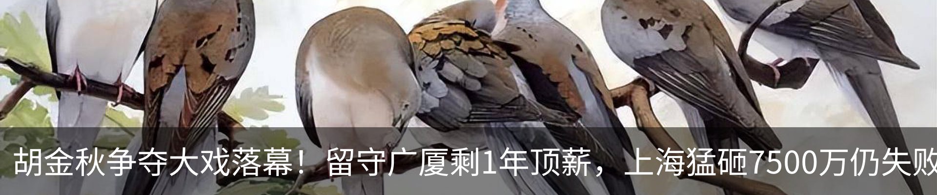 行业资讯
